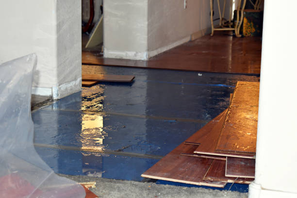 Professional Basement Flooding technician working in Harrisburg, IL